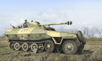 SdKfz 251 Expansion Set: SdKfz 251/22 Ausf. D