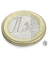 Scheibenmagnet Ø 2 mm, Höhe 2 mm