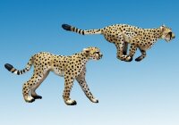 Cheetahs (x2)