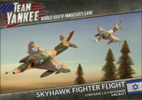 Skyhawk Fighter Flight (Israeli)