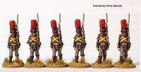 4th Battalion v. Holbach, Grenadiers (Shako, Large Plume)...
