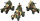 Wz. 34 Armoured Car Platoon (Polish)(EW)