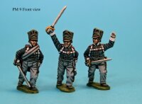 Advancing Foot Officers (Prussians)