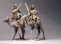 Camel Mounted Arab Irregulars