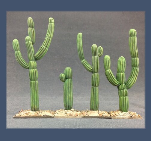 Saguero Cacti