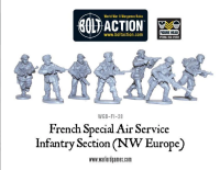 French SAS (NWE) Sections