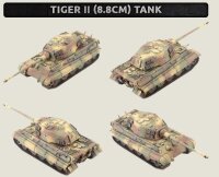 Plastic Tiger II Sprue