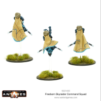 Freeborn: Sky Raider Command Squad