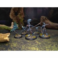 ArcWorlde: Wild Elven Starter Warband