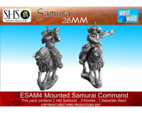 Mounted Command (2)
