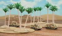 Desert Palms