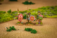 Clash of Spears: Gallic Starter Army