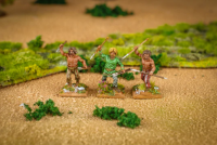 Clash of Spears: Gallic Starter Army