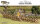 Thirty Years War: Swedish Infantry Regiment