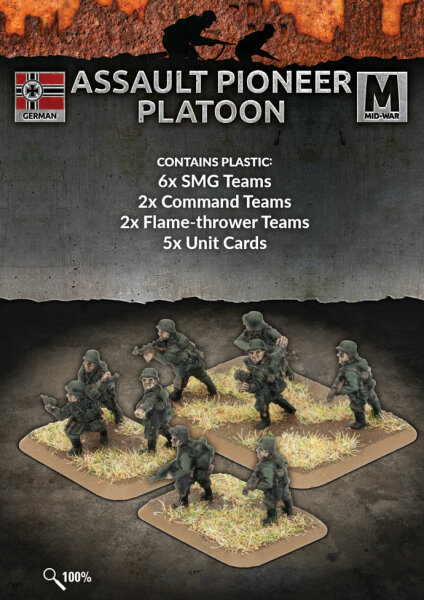 Assault Pioneer Platoon (MW)