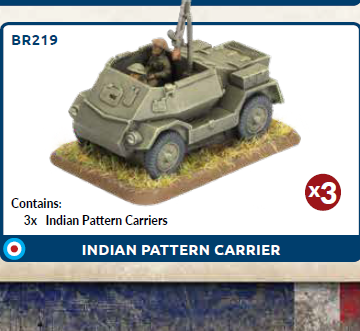 Indian Pattern Carrier