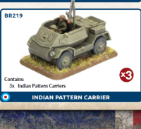 Indian Pattern Carrier