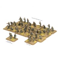 Marine Rifle Platoon