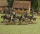 The Baron`s War: Mounted Serjeants (1150-1320)