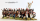 Spanish Napoleonic Infantry (1) 1808-11