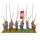 Italian Wars: Swiss Pikemen Regiment
