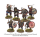 Viking Warband