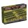 Mediterranean: Italian Vineyards (Limited)