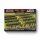 Mediterranean: Italian Vineyards (Limited)