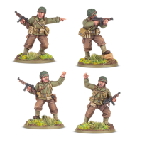 US Rangers Platoon Commanders