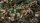 Gamer`s Grass: Cherry Blossom Flowers