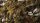 Gamer`s Grass: Dark Green Shrubs