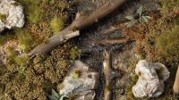 Gamer`s Grass: Swamp Shrubs