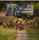 Pillage: Saxon Warband
