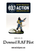 Downed RAF Pilot