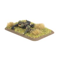 Airmobile Machine-Gun and Mortar Platoons (US)