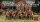 Muskets and Tomahawks: British Regular Army (French & Indian War)