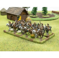 By Fire & Sword: Swedish National Cavalry