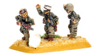 Panzergrenadier Platoon (Afrika)
