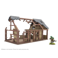 Asian Villages: Large Building Ruins