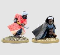 Assassins & Templars: Assassin Heroes