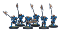 Cygnar Stormguard Unit Box