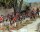 Muskets & Tomahawks: British Army (War of Independence)