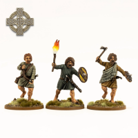 Dark Age Irish & Dogs: Irish Warriors