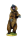 Angry Grizzly