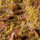 Gamer`s Grass: 2mm Beige Tufts