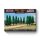 Italian Tree Lines (Limited)