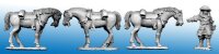 North Star 1672: Dragoon Horse-Holder