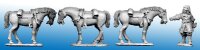 North Star 1672: French Dragoon Horse-Holder