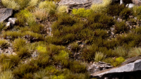 Gamer`s Grass: 4mm Swamp Tufts Small