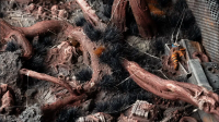 Gamer`s Grass: Alien Void (6mm)